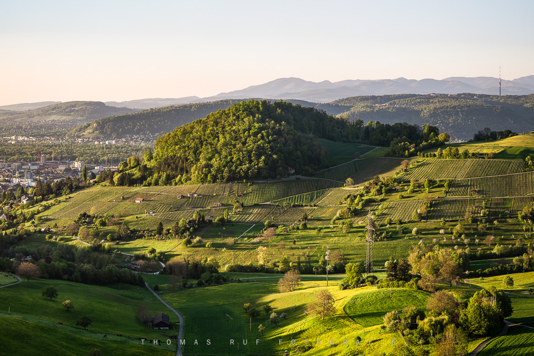 2026 04 22 061 Pano HR