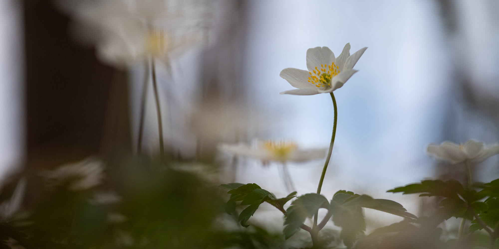 Aktuelle Fotos 2025 03 22 018