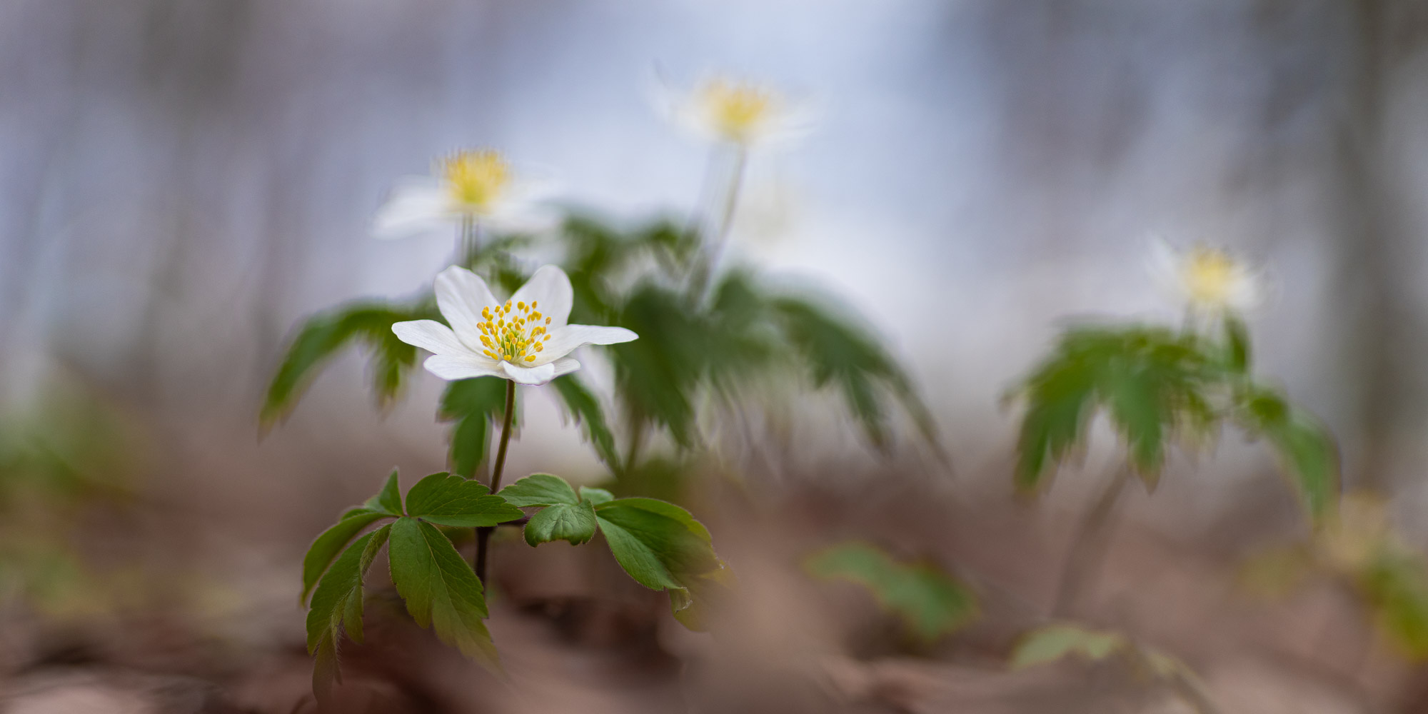 Aktuelle Fotos 2025 03 22 045