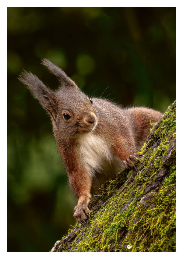 Nachhaltigkeitsbericht wald 07