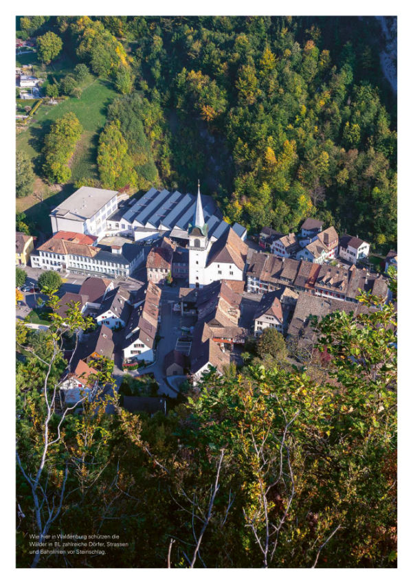 Nachhaltigkeitsbericht wald 08