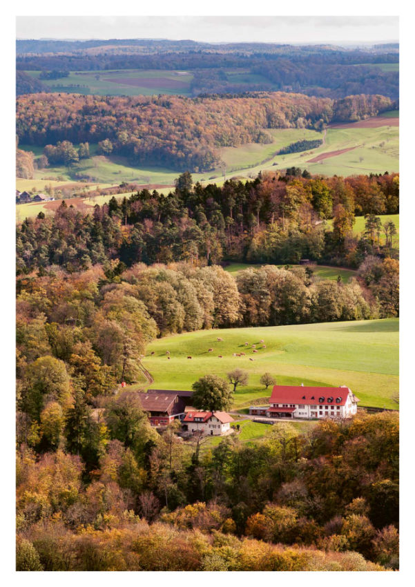 Nachhaltigkeitsbericht wald 10