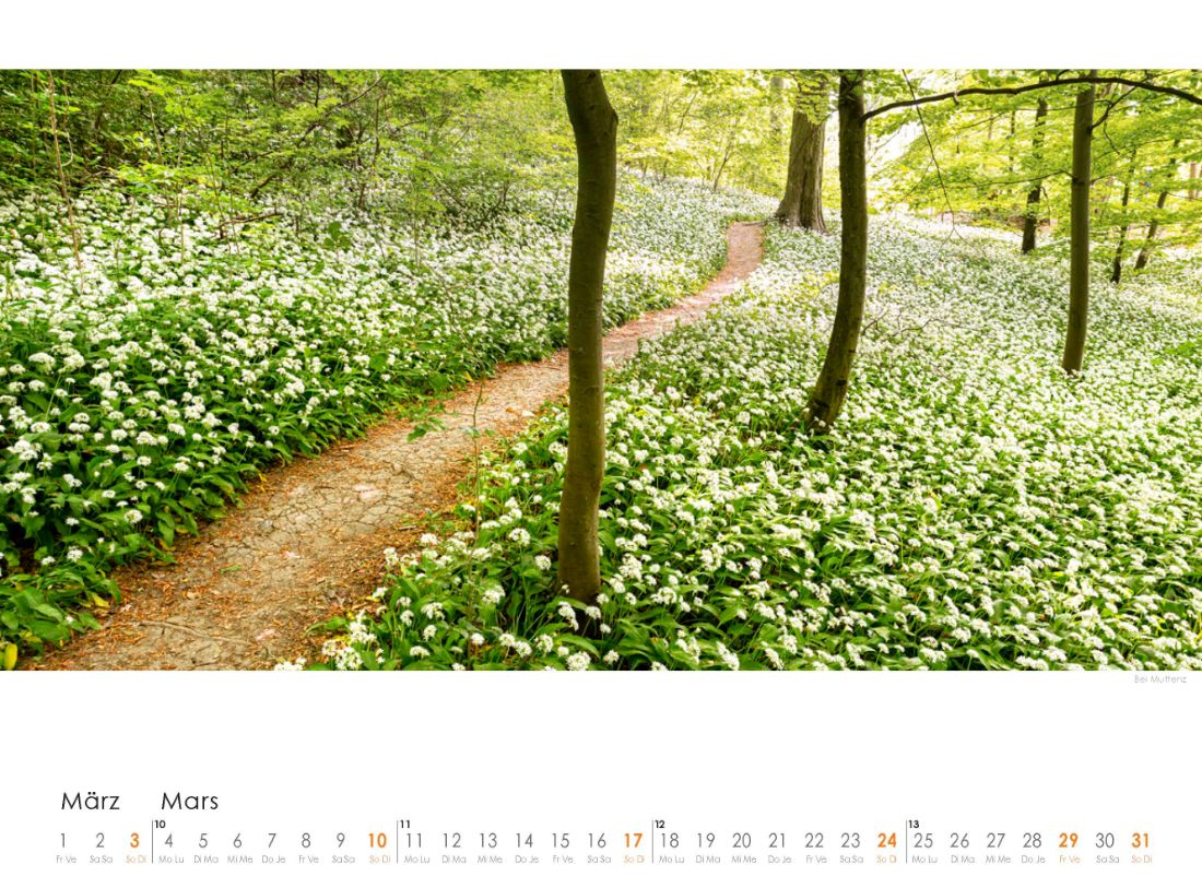 Baselbieter Landschaften 2024 03