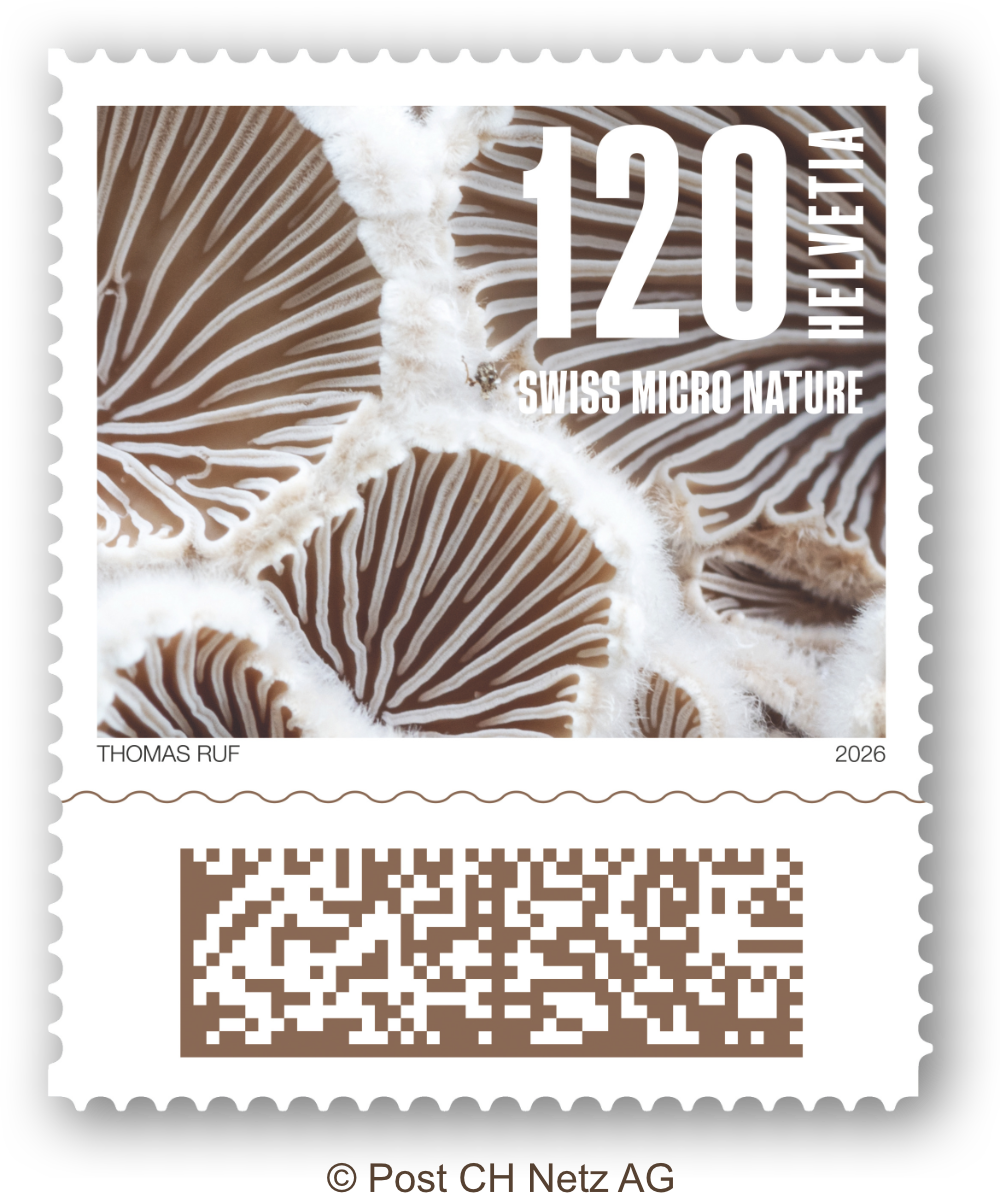 Offizielle Briefmarken der Serie  Naturmuster von Thomas Ruf