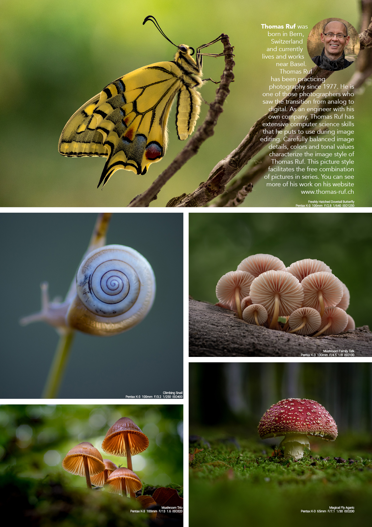 Portfolio von Thomas Ruf
