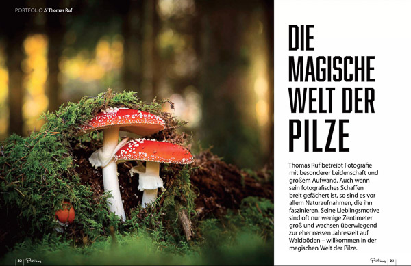 Pictures fotomagazin pilzfotografie 12 2021 Seite 1