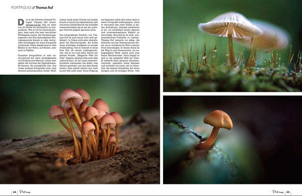 Pictures fotomagazin pilzfotografie 12 2021 Seite 2