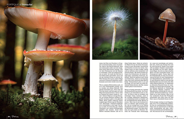 Pictures fotomagazin pilzfotografie 12 2021 Seite 3