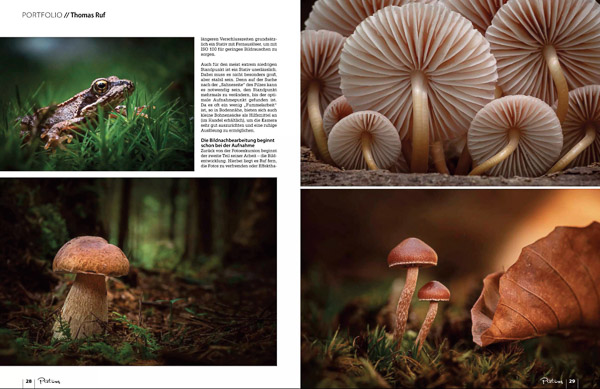 Pictures fotomagazin pilzfotografie 12 2021 Seite 4