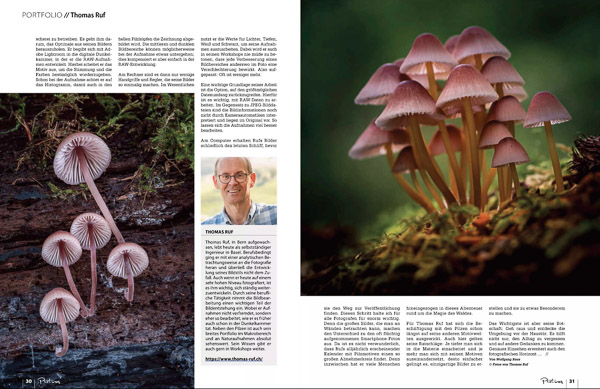 Pictures fotomagazin pilzfotografie 12 2021 Seite 5