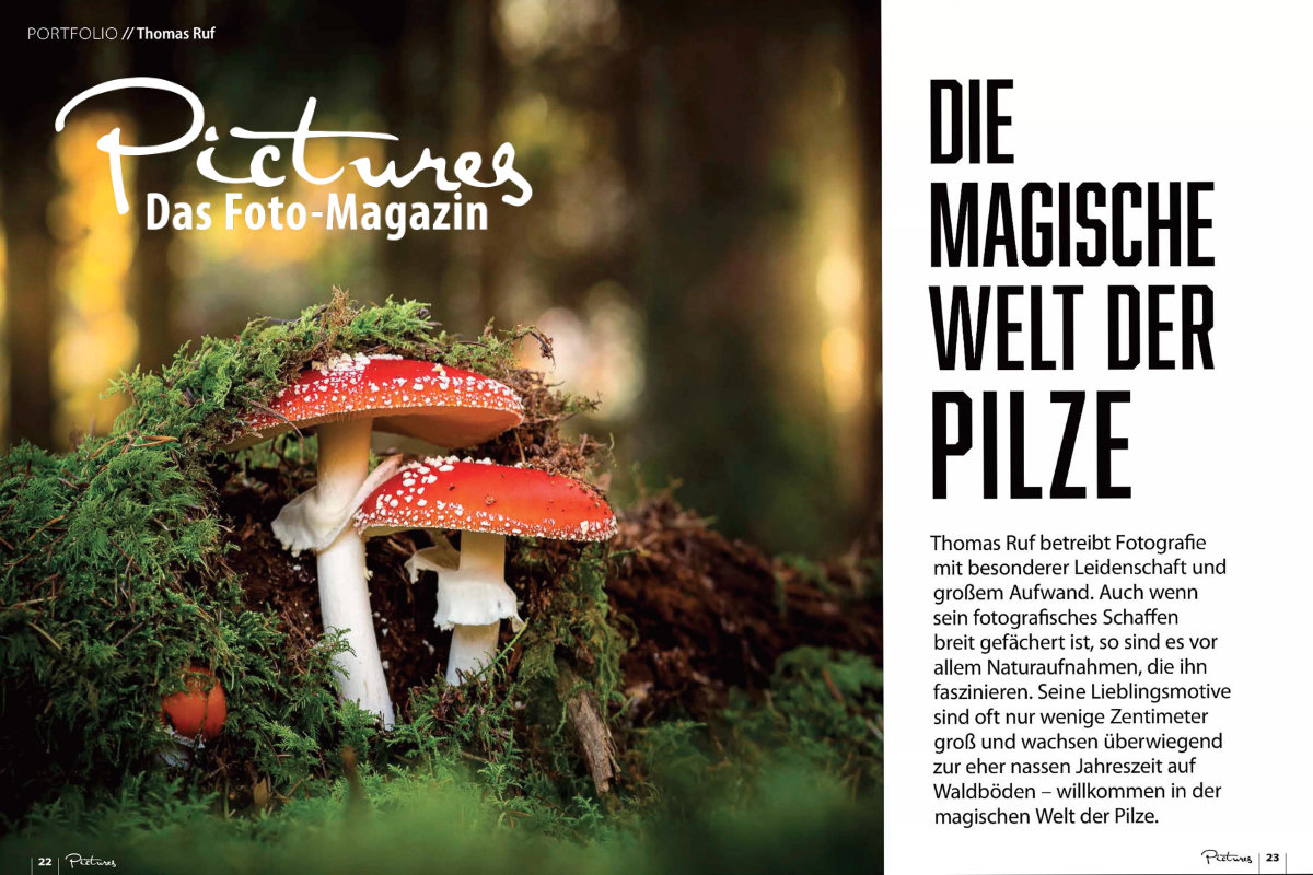 Fotomagazin «Pictures»