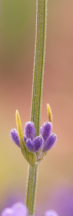 Fotografie raumbild kantonsspital baselland 01