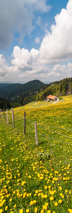 Fotografie raumbild kantonsspital baselland 02