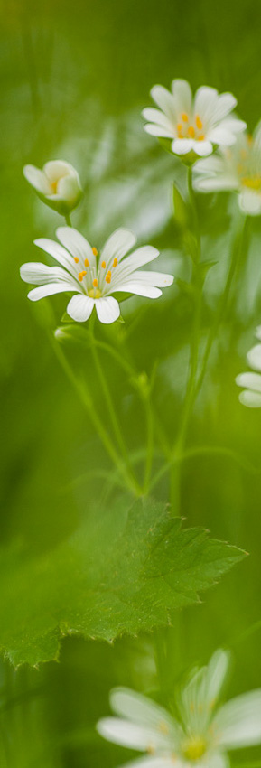Fotografie raumbild kantonsspital baselland 03