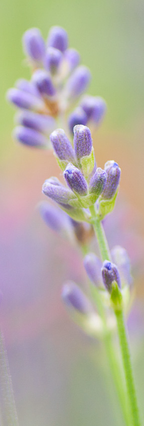 Fotografie raumbild kantonsspital baselland 06