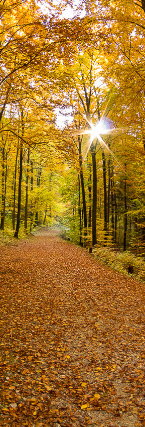 Fotografie raumbild kantonsspital baselland 07