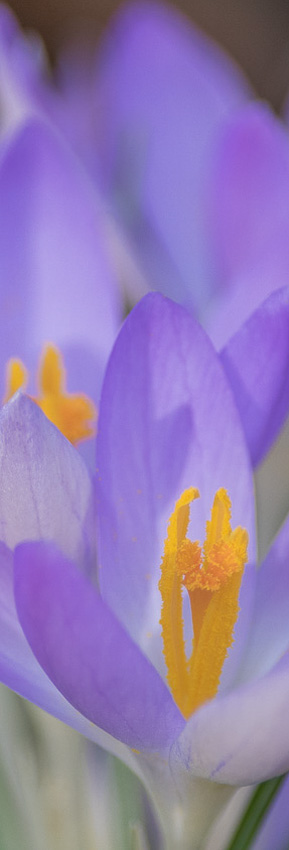 Fotografie raumbild kantonsspital baselland 08