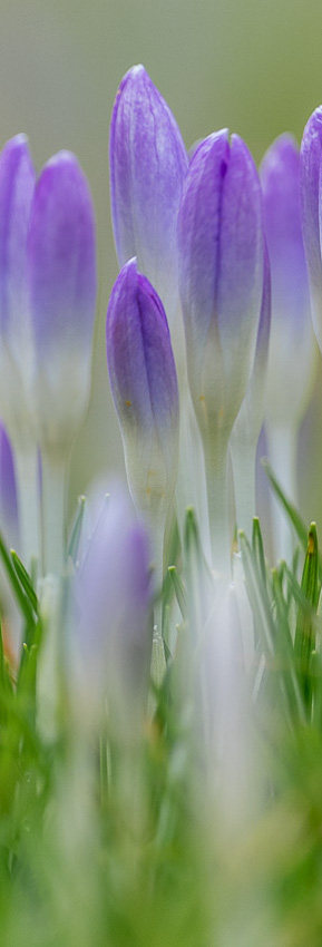 Fotografie raumbild kantonsspital baselland 12
