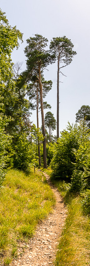Fotografie raumbild kantonsspital baselland 14