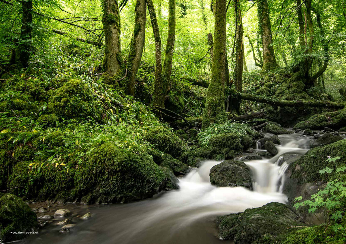 Magazin Inhouse - Fotos von Thomas Ruf