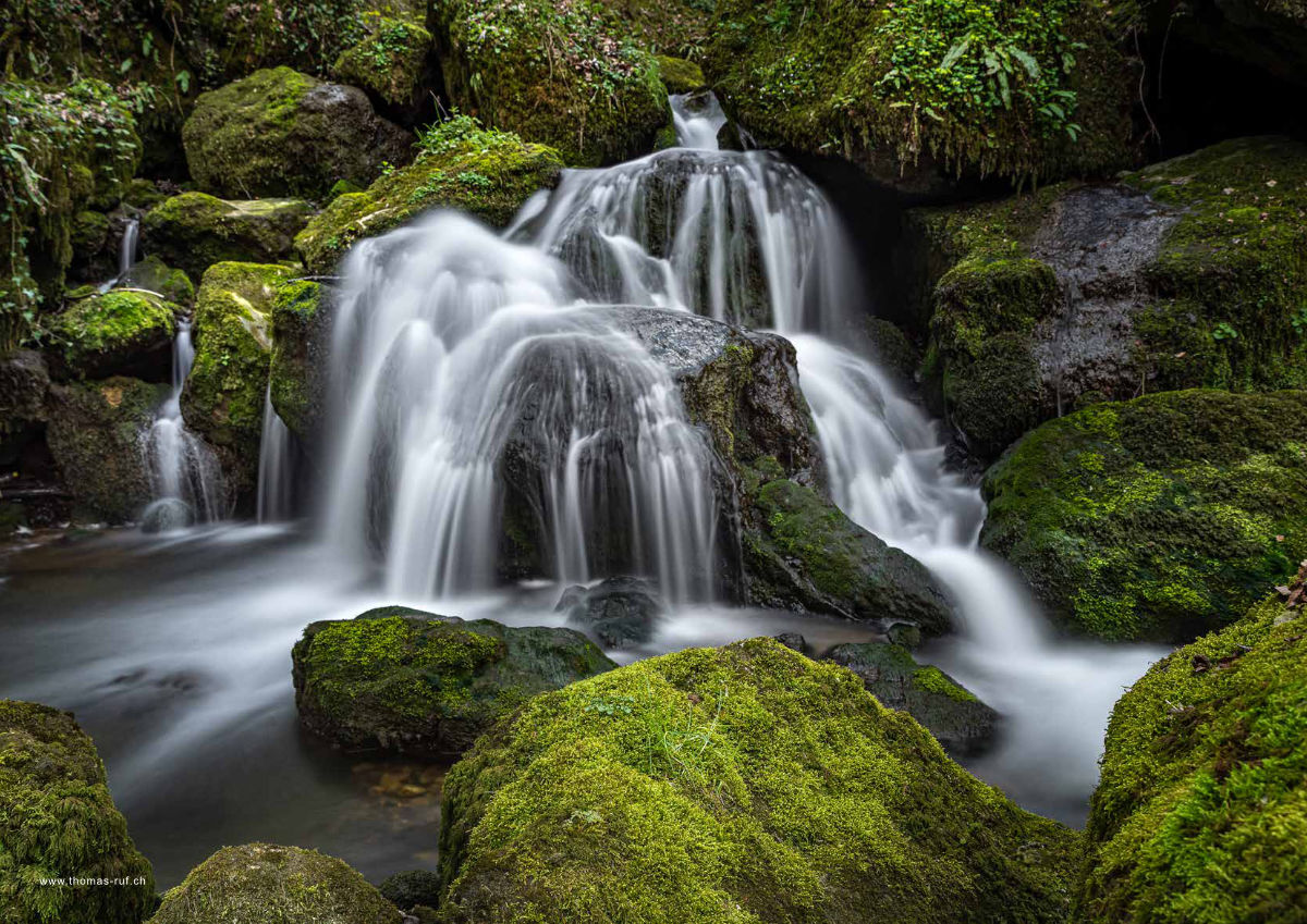 Magazin Inhouse - Fotos von Thomas Ruf