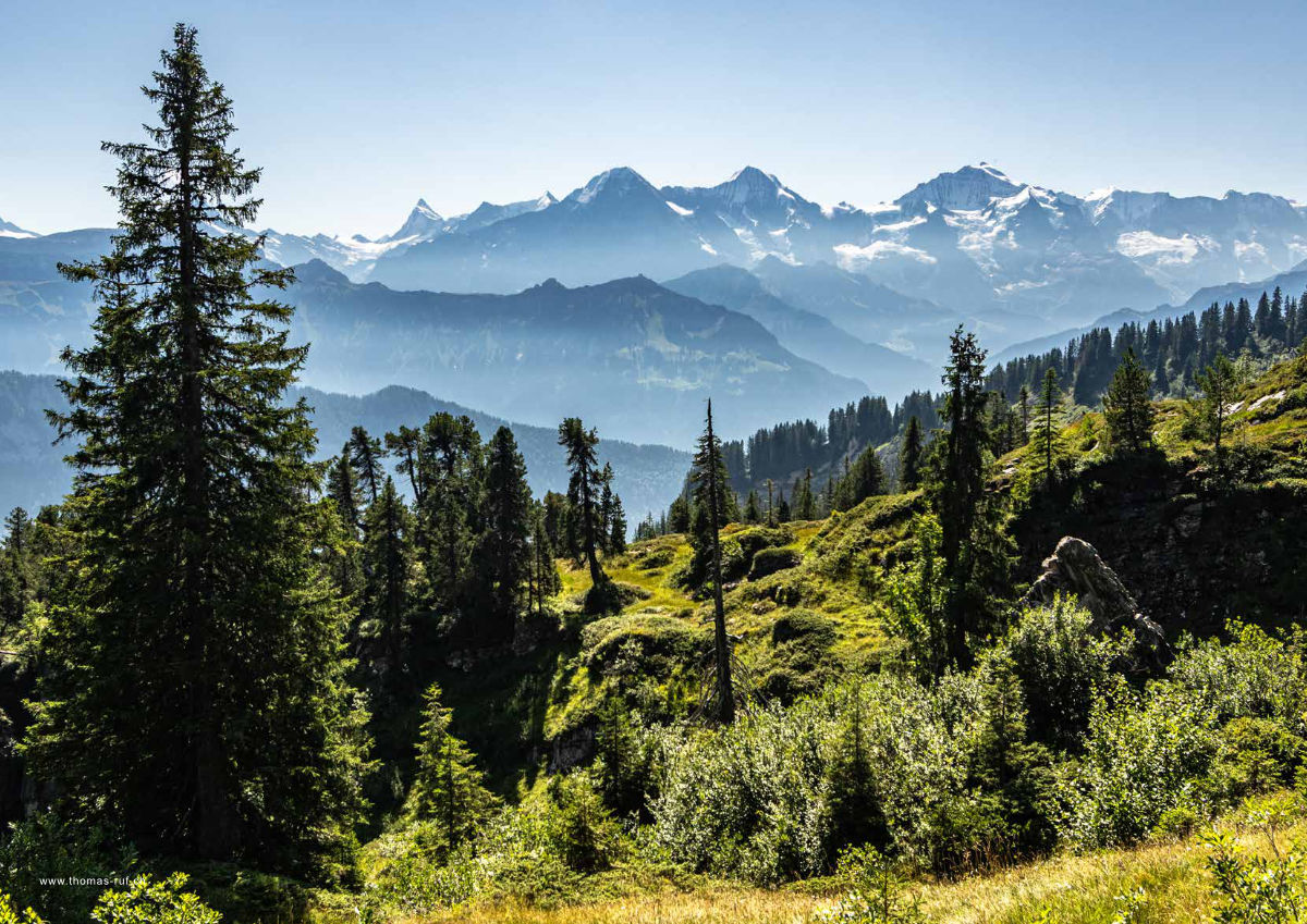 Magazin Inhouse - Fotos von Thomas Ruf