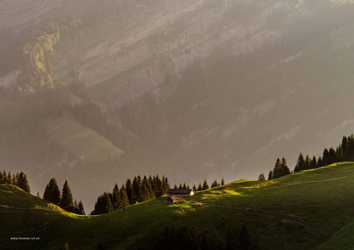 Magazin Inhouse - Fotos von Thomas Ruf