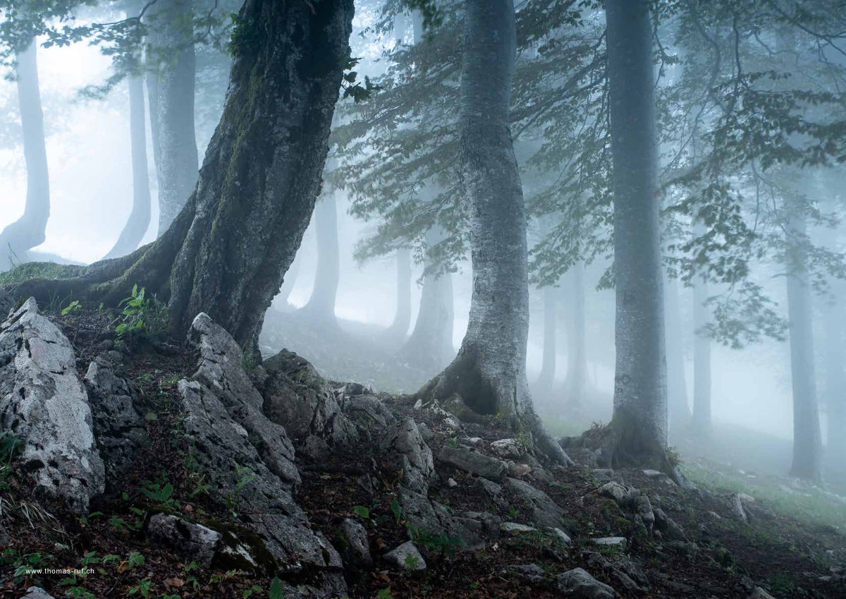 Magazin Inhouse - Fotos von Thomas Ruf