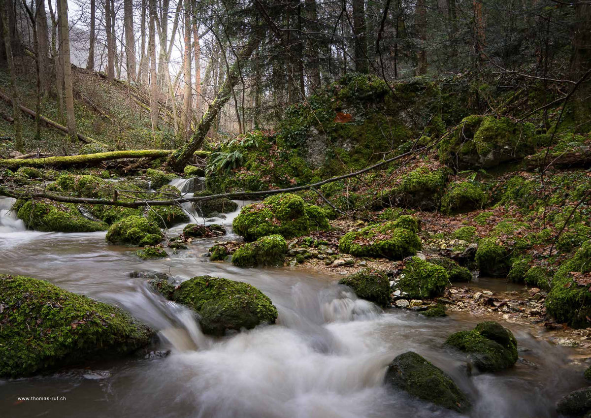 Magazin Inhouse - Fotos von Thomas Ruf