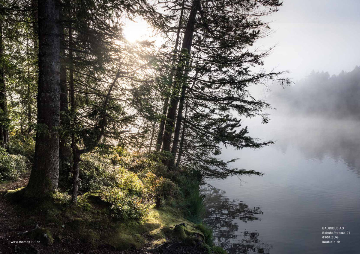 Magazin Inhouse - Fotos von Thomas Ruf