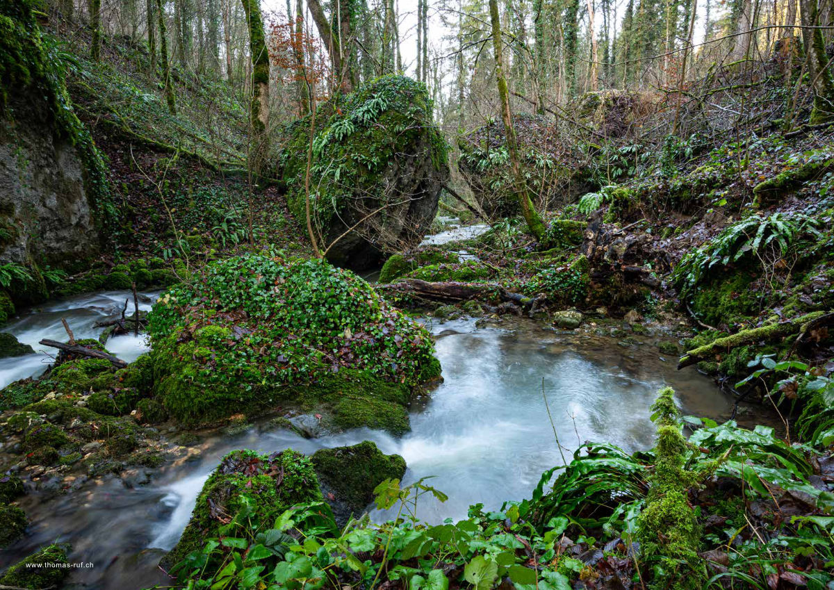 Magazin Inhouse - Fotos von Thomas Ruf