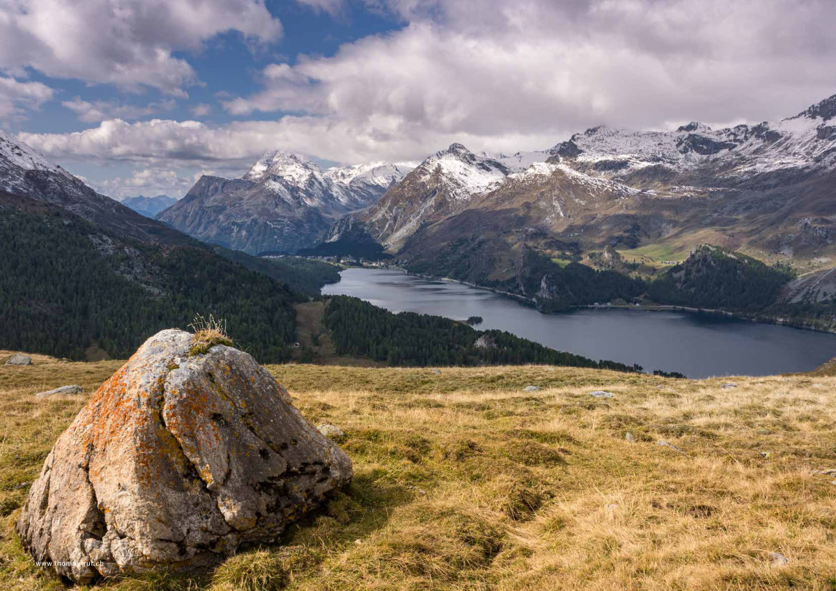 Magazin Inhouse - Fotos von Thomas Ruf