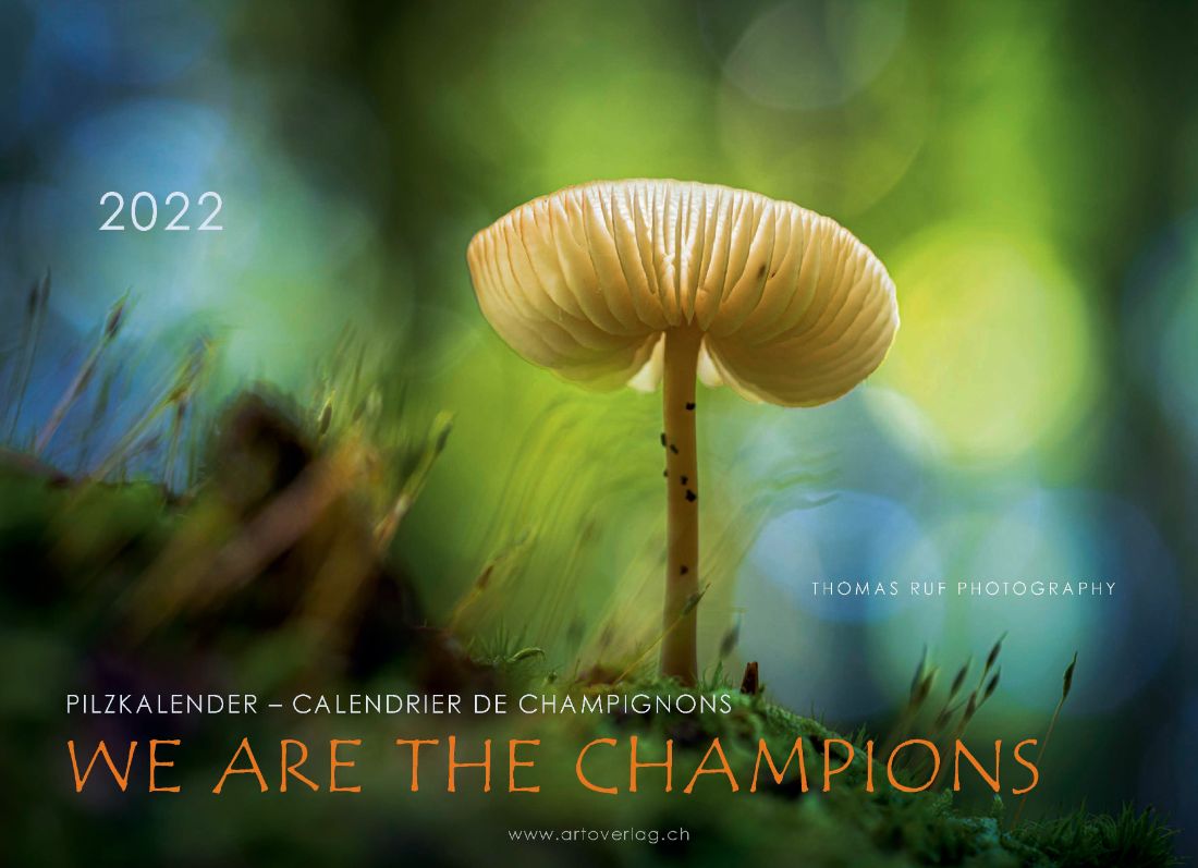 Pilzkalender  «We are the champions»