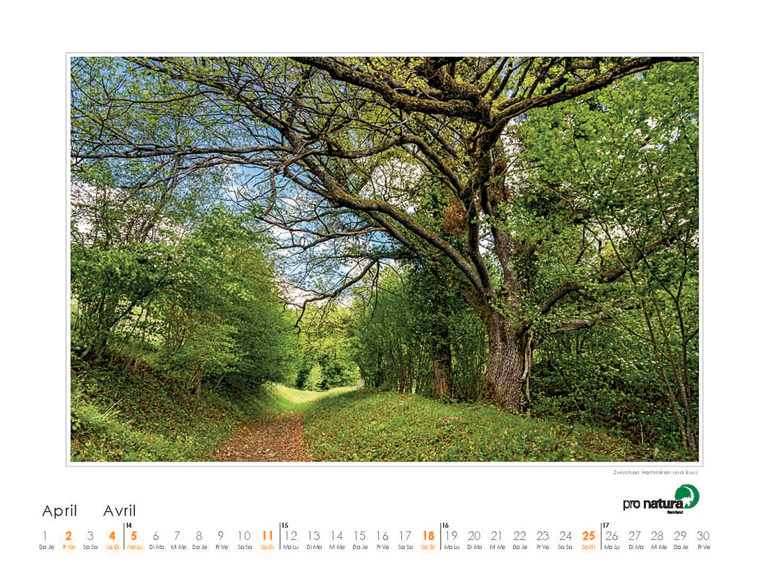 Pro Natura Kalender Baselland 2020 04