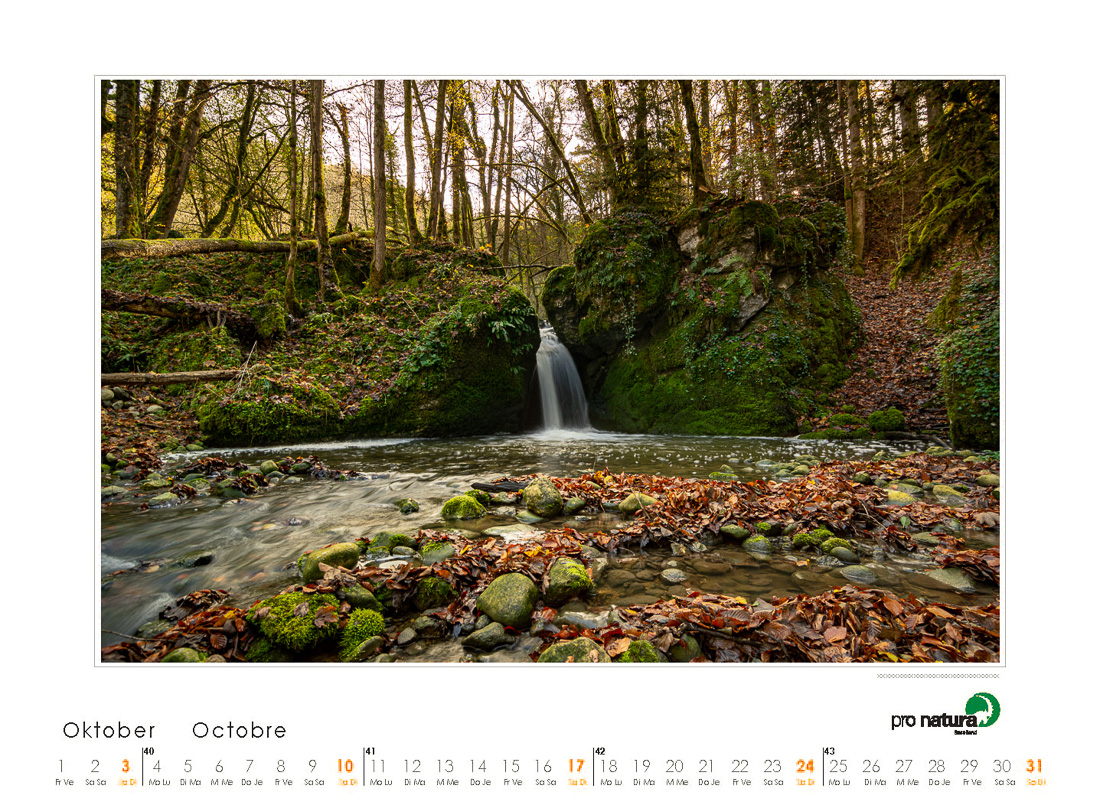 Pro Natura Kalender Baselland 2020 10