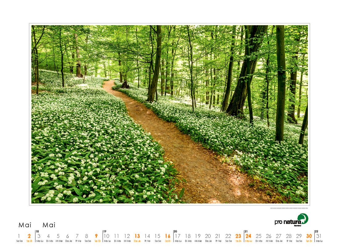 Pro Natura Kalender Baselland 2021 05