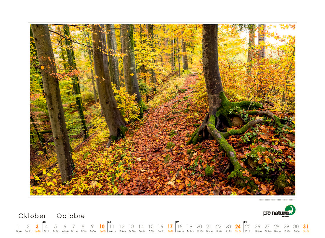 Pro Natura Kalender Baselland 2021 10