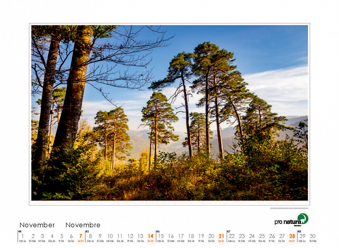 Pro Natura Kalender Baselland 2021 11