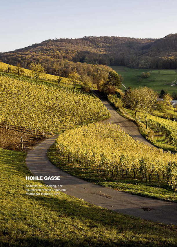 Jauslin weingut prospekt 2018 2