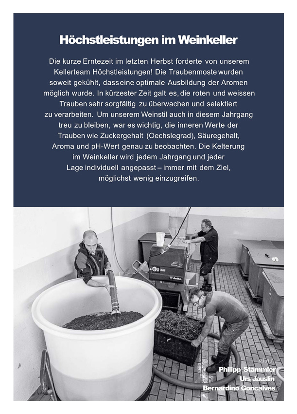 Jauslin weingut prospekt 2019 2 2