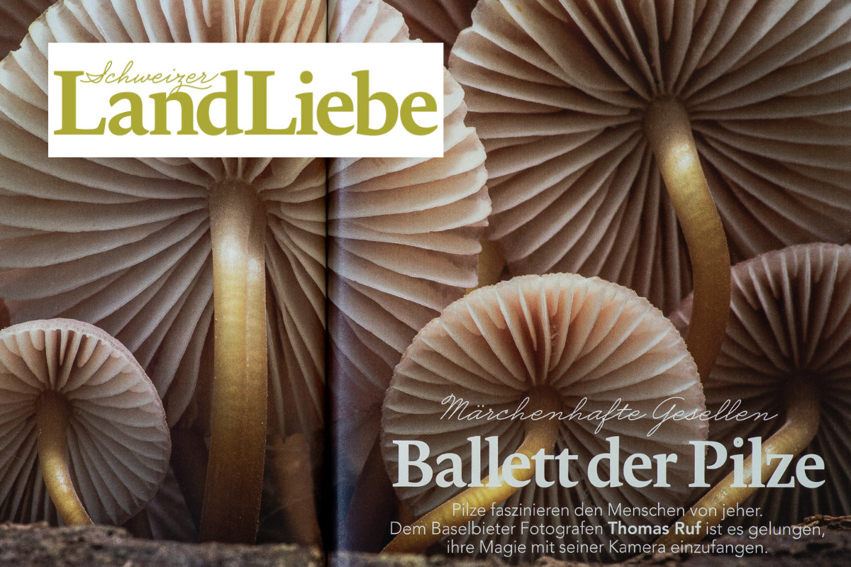 Ringier AG – Schweizer LandLiebe