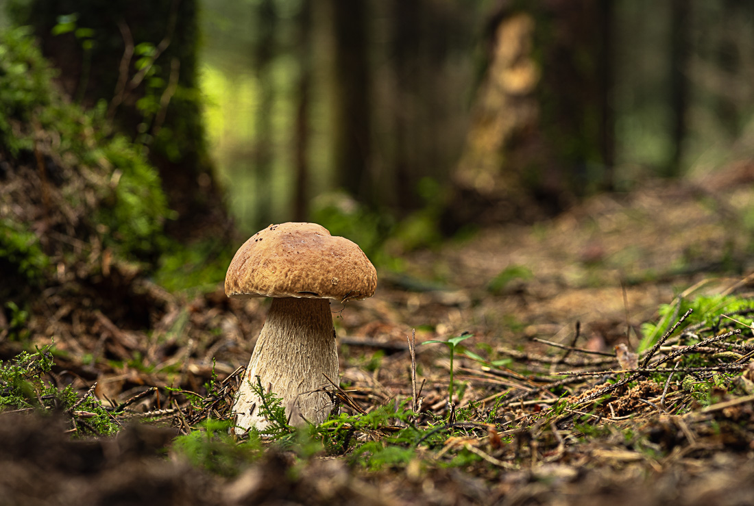 Allein auf weiter Flur