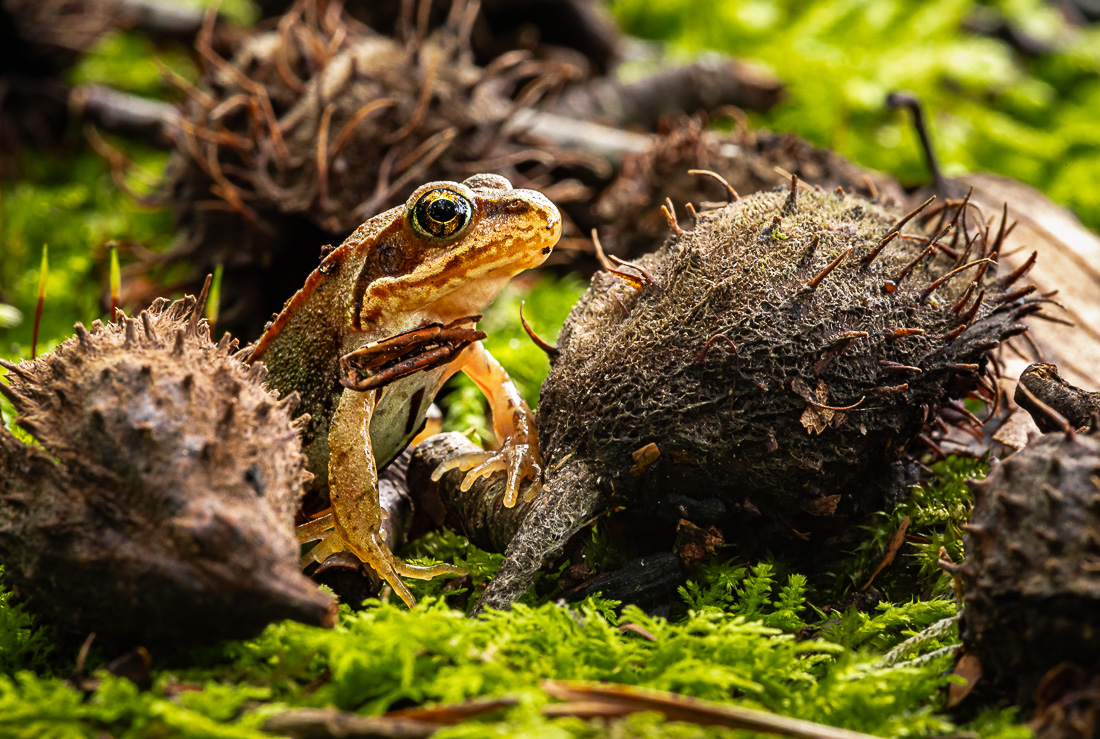 Du siehst mich nicht!