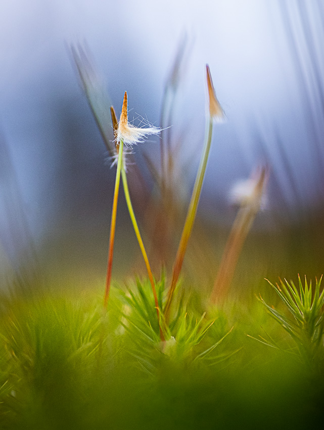 Leichtigkeit des Seins