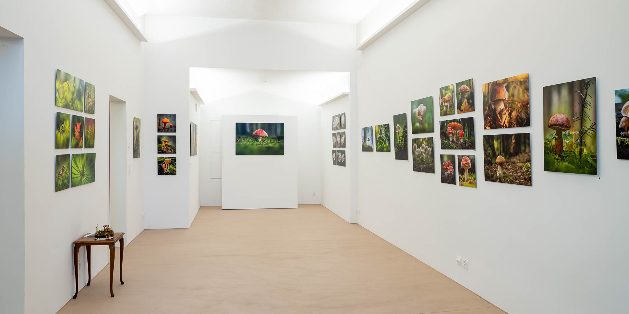 Ausstellung Wunderwelten