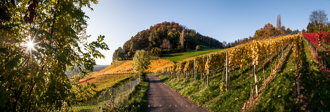 2012 10 25 041 Pano