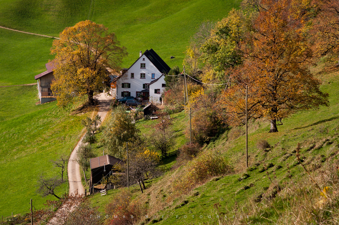Hof Ulmet