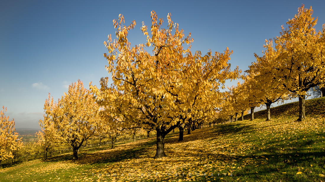2015 10 31 072 Pano