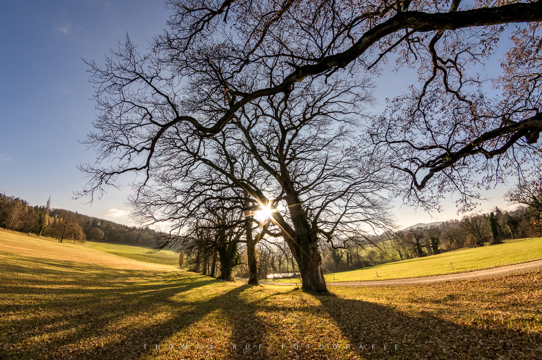 2016 12 03 020 HDR