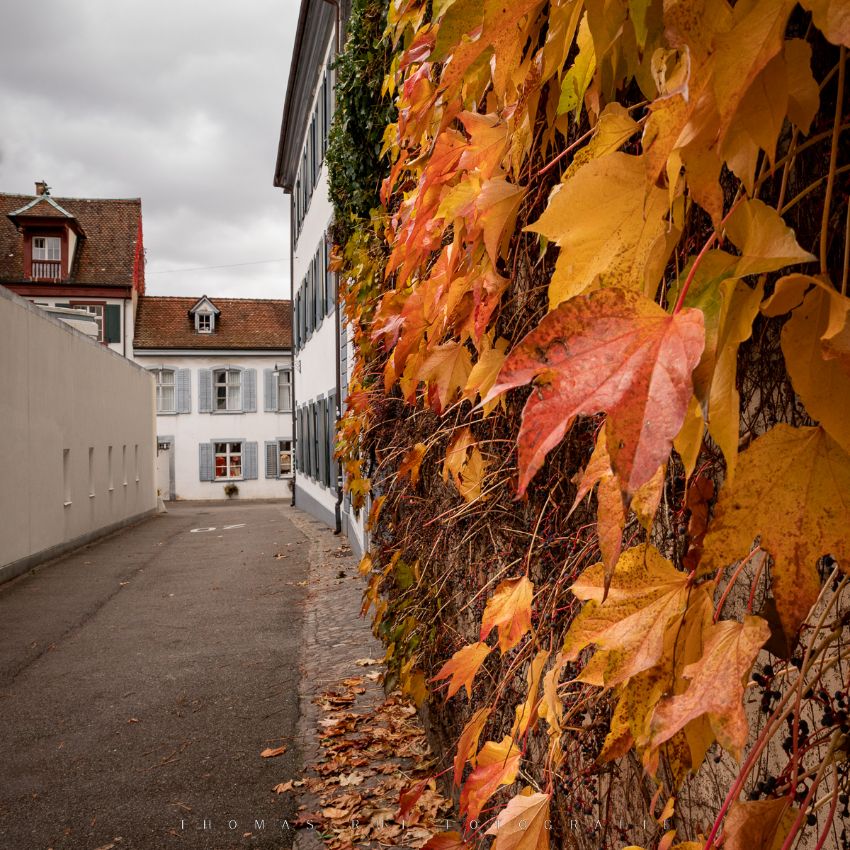Rosshofgasse